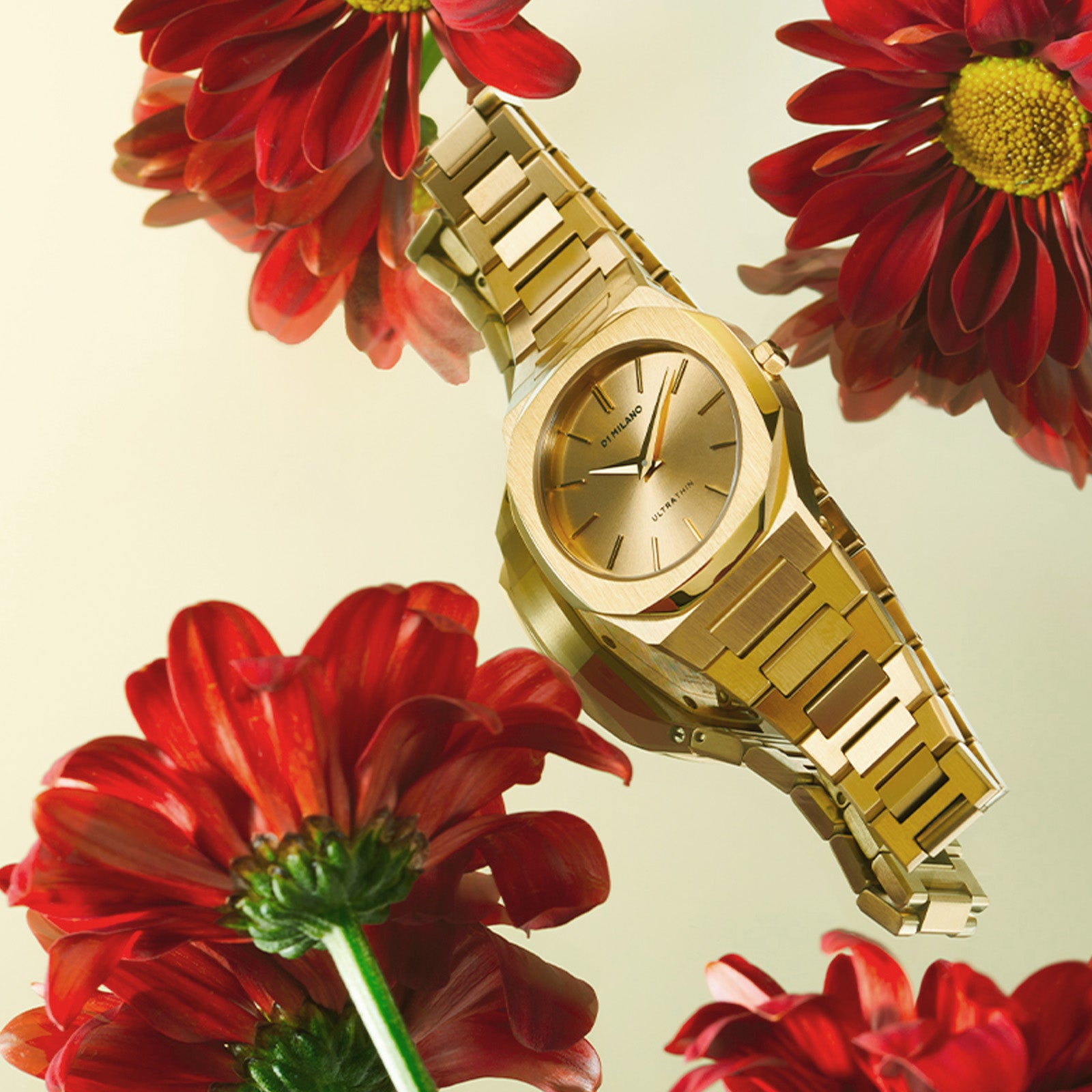 D1 MILANO★Ultra Thin ブレスレット 30mm [Zephyr Gold] Buy D1 Milano Gold Zephyr Gold Ultra Thin Watch, 30mm For