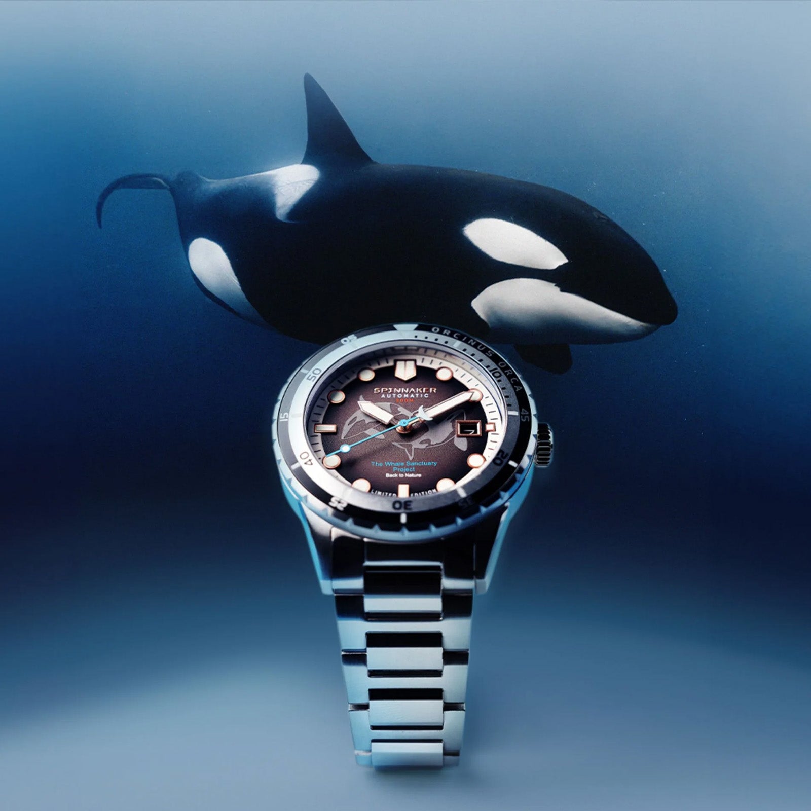 Spinnaker Hong Kong | Hass Automatic Whale Sanctuary Project